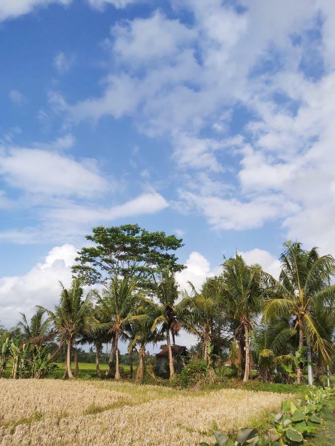 Ayuna Family Guest house 3*