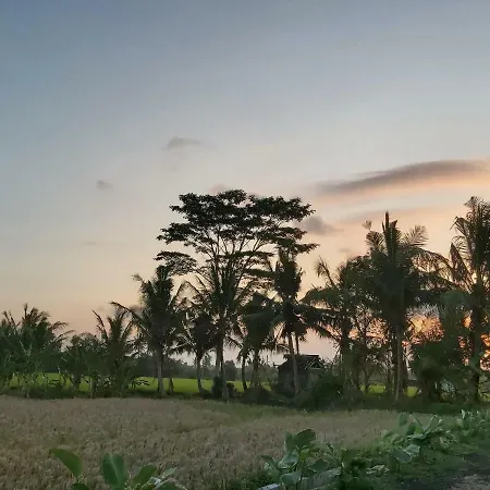 Ayuna Family Ubud Exterior photo