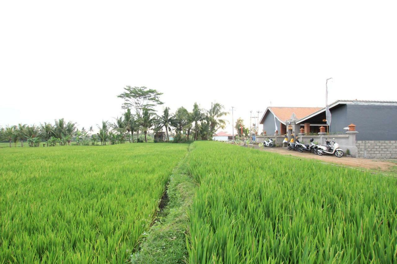 Guest house Ayuna Family Ubud (Bali)