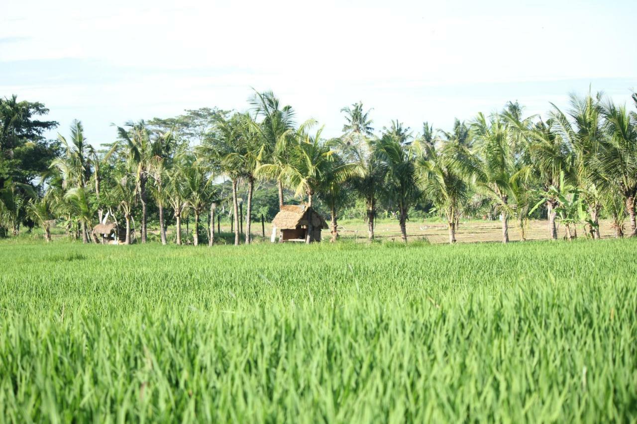 Ayuna Family 3* Ubud (Bali)