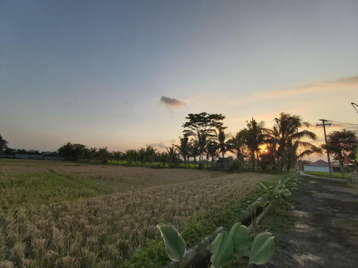 Ayuna Family 3* Ubud (Bali)